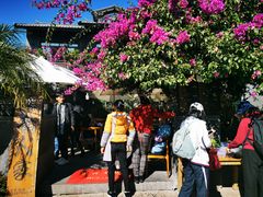 -海韵人家.海景花园经典云南菜(双廊店)