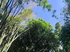 -望江楼公园