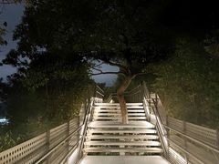 -福道