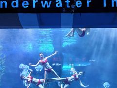 -泉城欧乐堡海洋极地世界