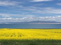 -青海湖国家重点风景名胜区