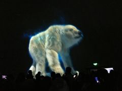 -烟台海昌鲸鲨海洋公园