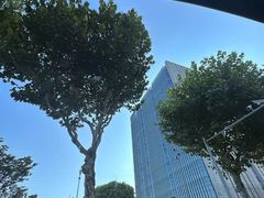 -同济大学(嘉定校区)
