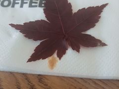 -ChanDu躔度咖啡(灯塔店)