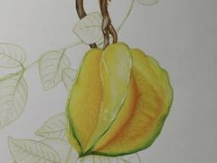 -八哥美术·成人美术画室(总校区)