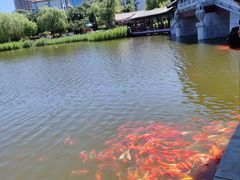 -西海子公园
