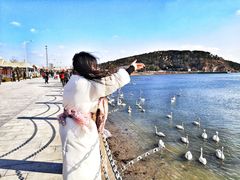 -烟墩角天鹅湖