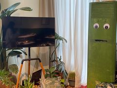 -Thai Basil罗勒叶泰式餐厅(时代天街店)