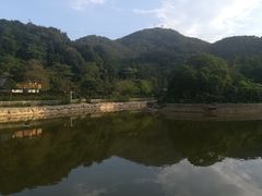 -广州市帽峰山景区