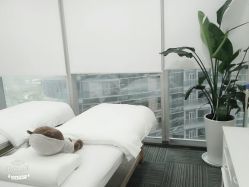 -贞禾医美·连锁