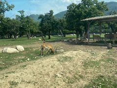 -西安秦岭野生动物园