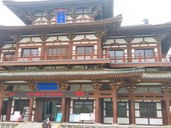 -西安乐游原