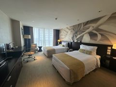 -国家会议中心大酒店