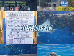 -北京海洋馆