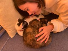 -Sirena海妖日咖夜酒