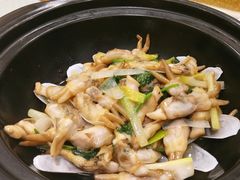姜葱炒蛏子-双井轩(双井店)