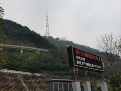 -李子坝梁山鸡(李子坝大鸡哥店)