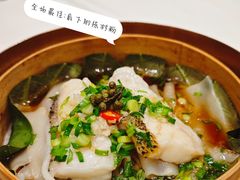 鲜花椒陈村粉蒸星斑鱼-万豪金殿(香港JW万豪酒店)