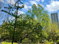 -长白岛森林公园