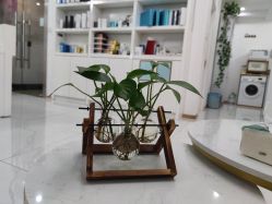 -瓷肌博士·祛痘科技美肤