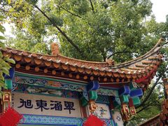 -翠云楼·汽锅鸡·云南特色菜(翠湖公园店)