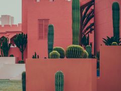 -漳州滨海火山岛自然生态风景区