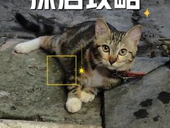 -江南西(地铁站)