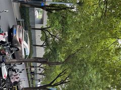 -侵华日军南京大屠杀遇难同胞纪念馆