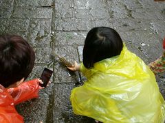 android_upload_pic-五营红松林海景区