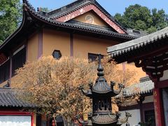 -灵谷景区