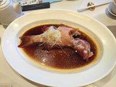 古法蒸东星斑-利苑酒家(合景国际金融广场店)