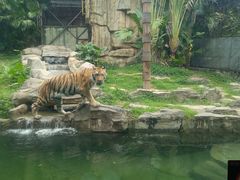 -深圳野生动物园