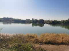 -大兴滨河森林公园