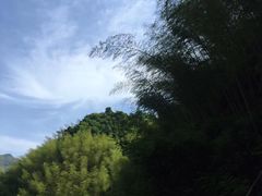 -东白山