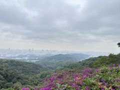 -广州市白云山风景名胜区