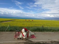 -青海湖国家重点风景名胜区