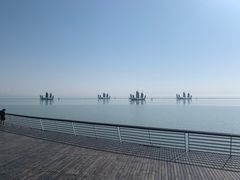 -贡湖湾湿地公园