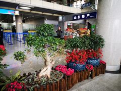 -威海大水泊国际机场