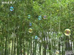 -紫竹院公园冰场