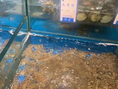 -得尔乐大酒店(南塘店)