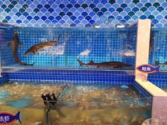 -乔哥铭洋海鲜自助(皇城恒隆广场店)