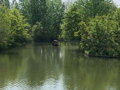 -溱湖国家湿地公园