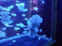 -多彩贵州城极地海洋世界