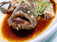 -新海渔港·胶东海鲜家常菜·家宴(奥体中心店)
