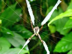 -人民广场-地下停车场