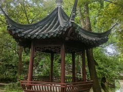-汇龙潭