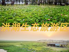 -荆州博物馆