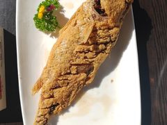-老牌坊鲁菜名店(聊城美食岛店)
