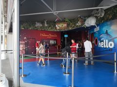-悉尼海洋生物水族馆