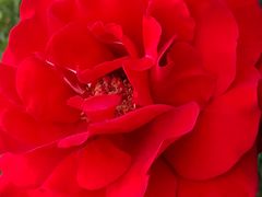 -龙口南山旅游景区